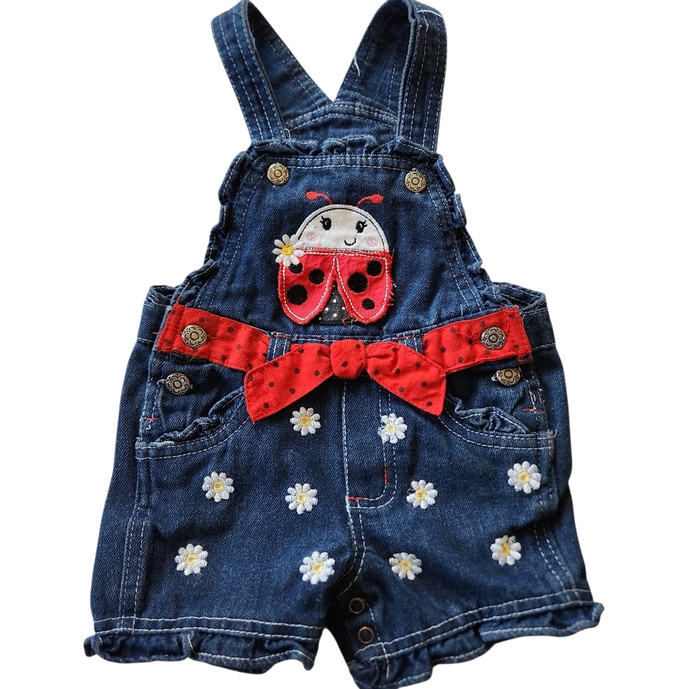 Ladybug Embroidered Floral Overalls shorts Sz 12 Months